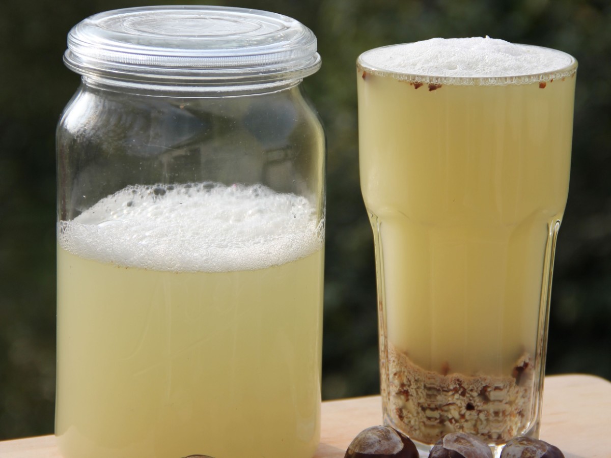 Mischen  Sie  das  Kastanienpulver  mit  Wasser.  Nach  einer  Zeit  sollte  es  zu  schäumen  beginnen