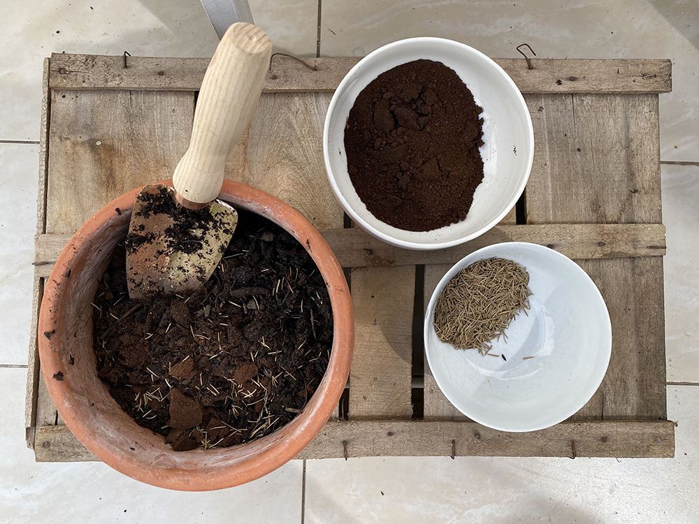 Fertige Moorbeeterde in Schale von oben, daneben Kaffeesud und Fichtennadeln in Schüsseln