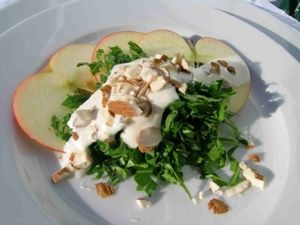 Apfel-Spitzwegerich-Salat