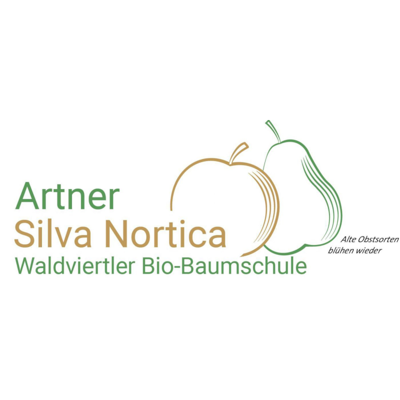 Logo Artner Silva Norica
