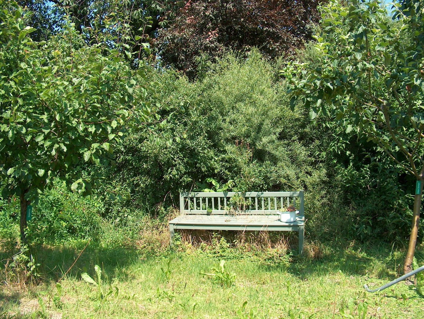BankvorHecke_KatharinaFoglarDeinhardstein