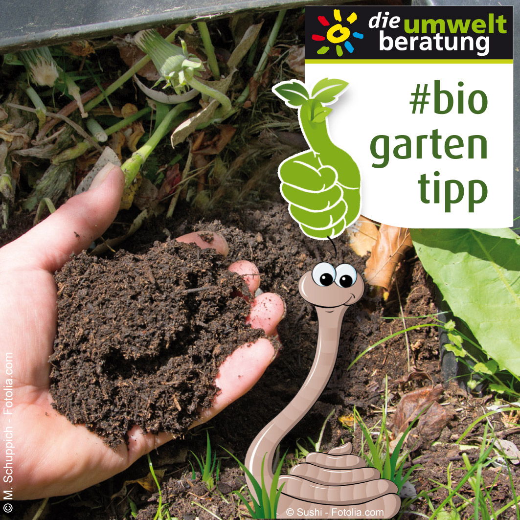 BioGartenTIPP_10