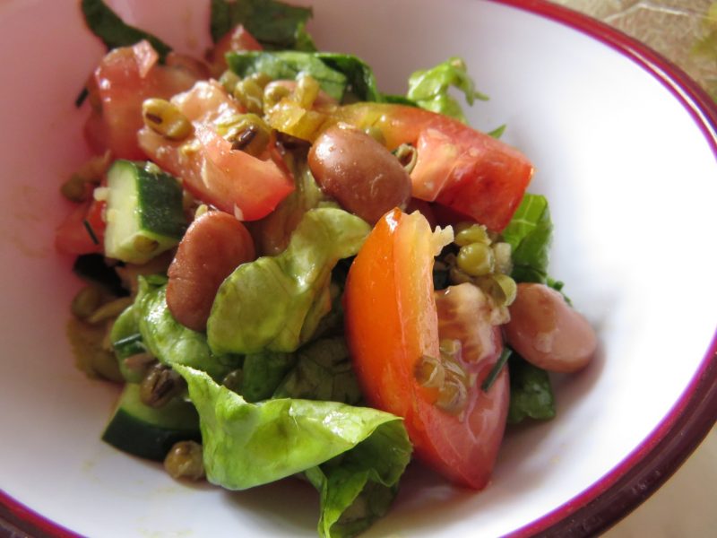 Salat mit Mungo- und Wachtelbohnen