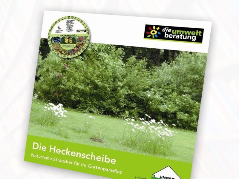 Heckenscheibe