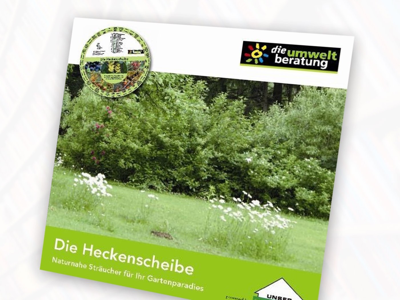 Heckenscheibe