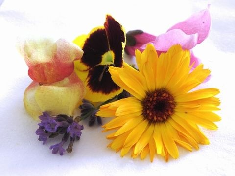 kandierte Blüten