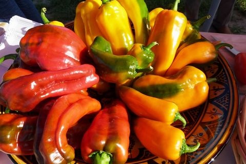 Paprika
