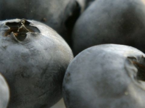 Heidelbeeren