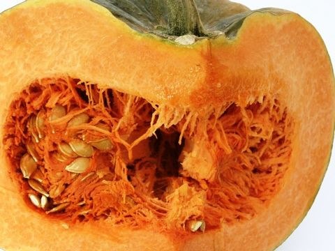 Kürbis