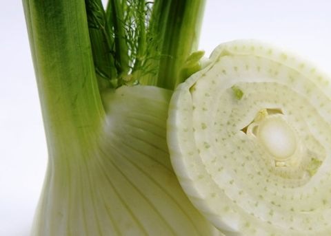 Fenchel