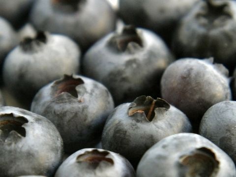 Heidelbeeren