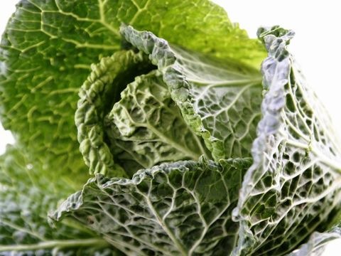Kohl