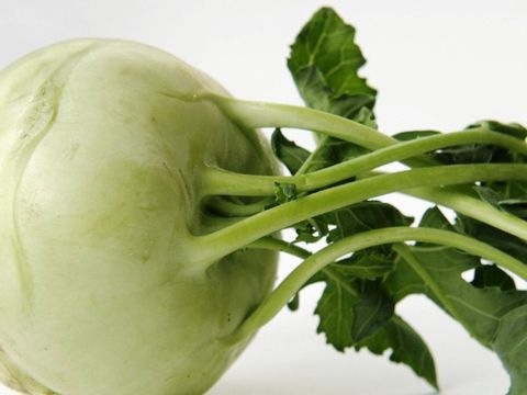 Kohlrabi