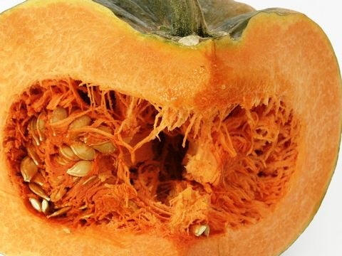 Kürbis