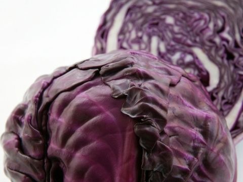 Rotkraut