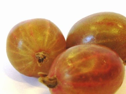 Stachelbeeren
