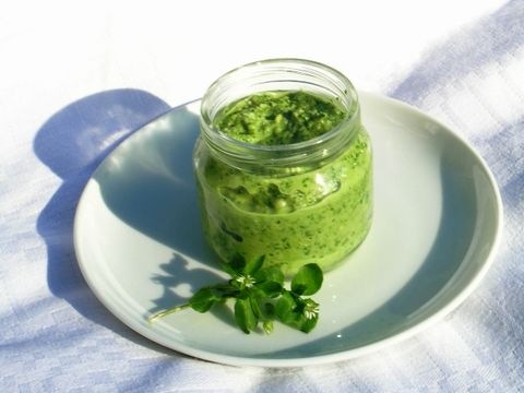 Pesto
