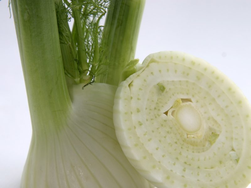 Fenchel
