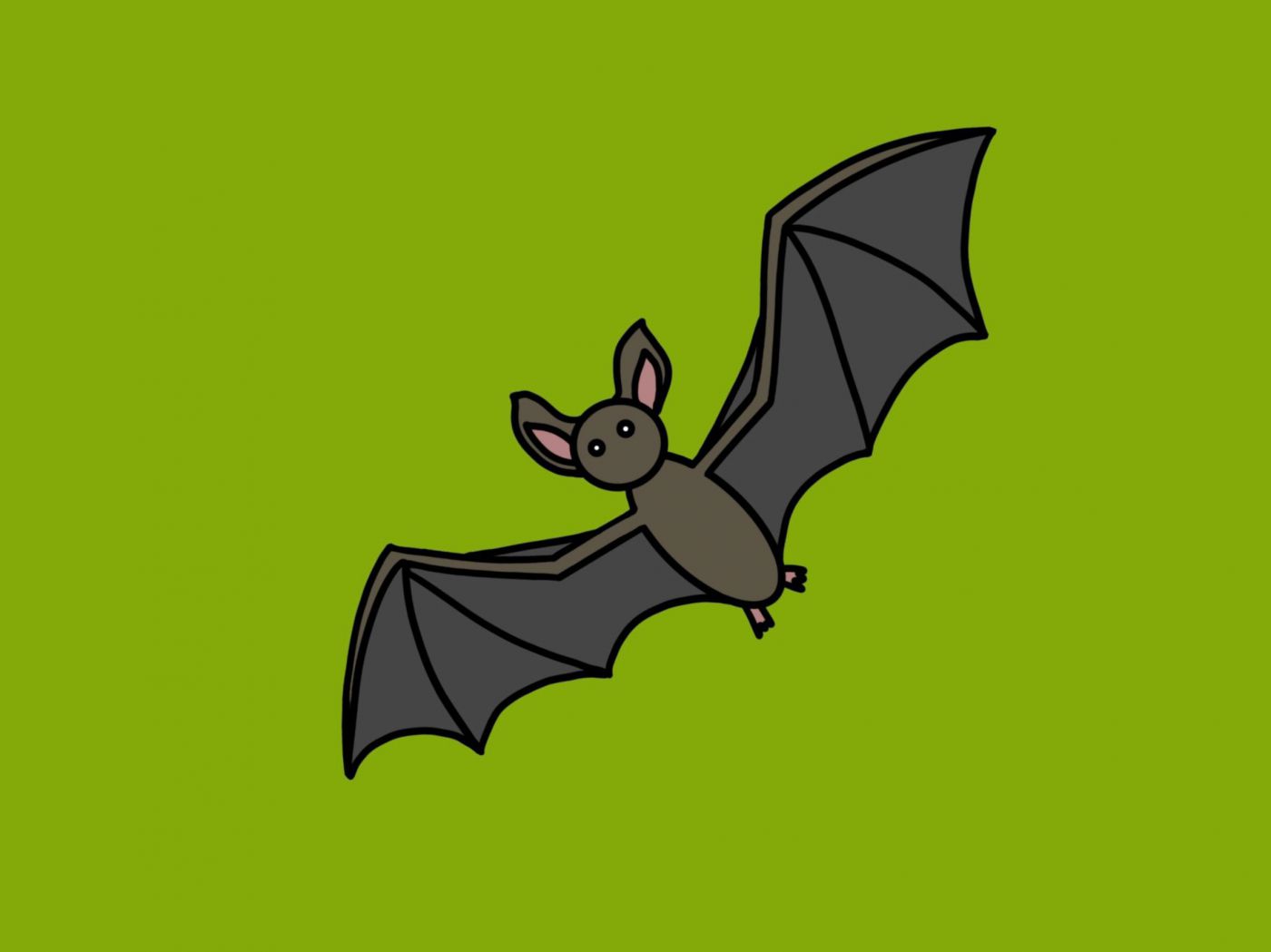 Fledermaus