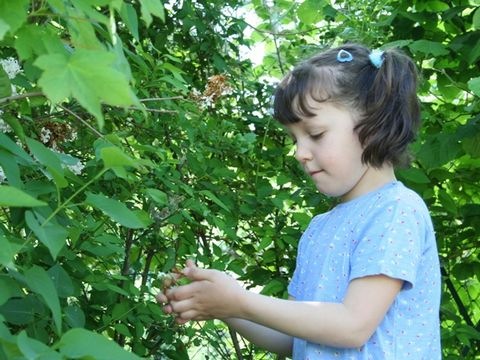 Kind mit Hecke