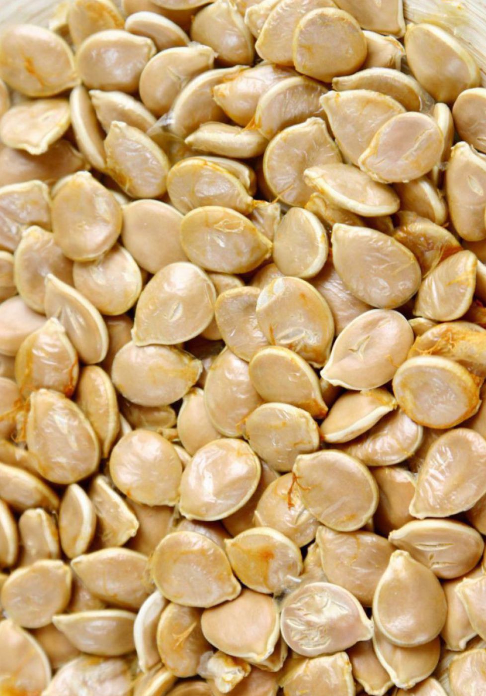 Kuerbiskerne