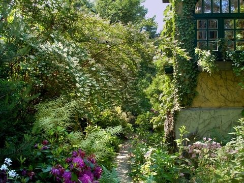 Naturgarten