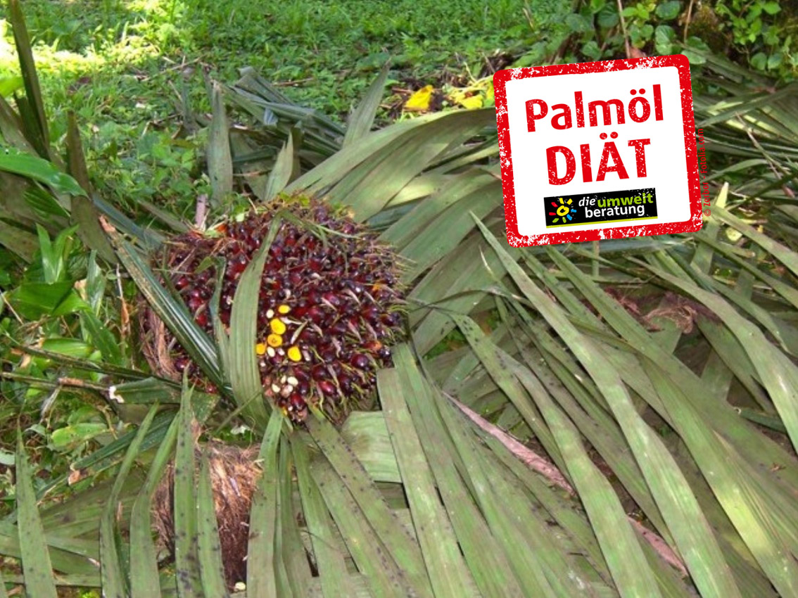Palmfruechte-bjogl