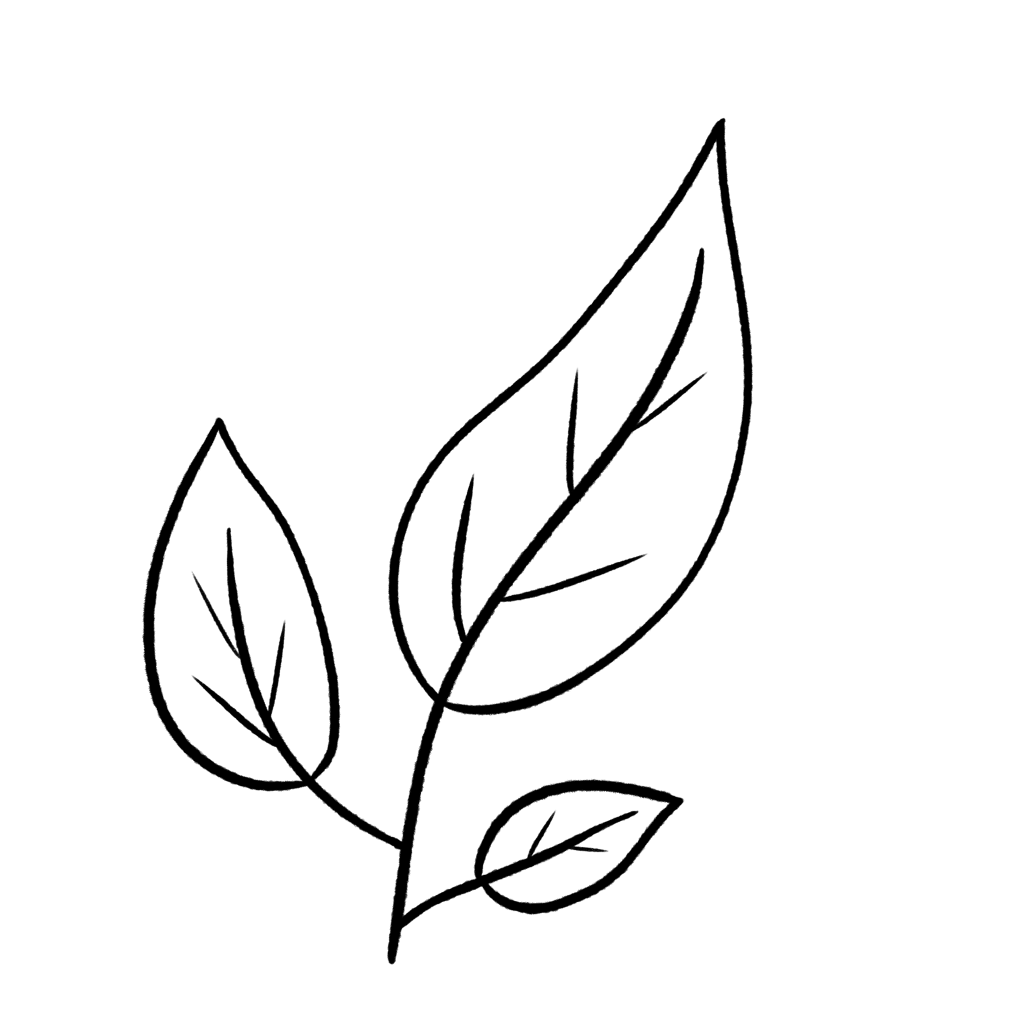 Pflanze