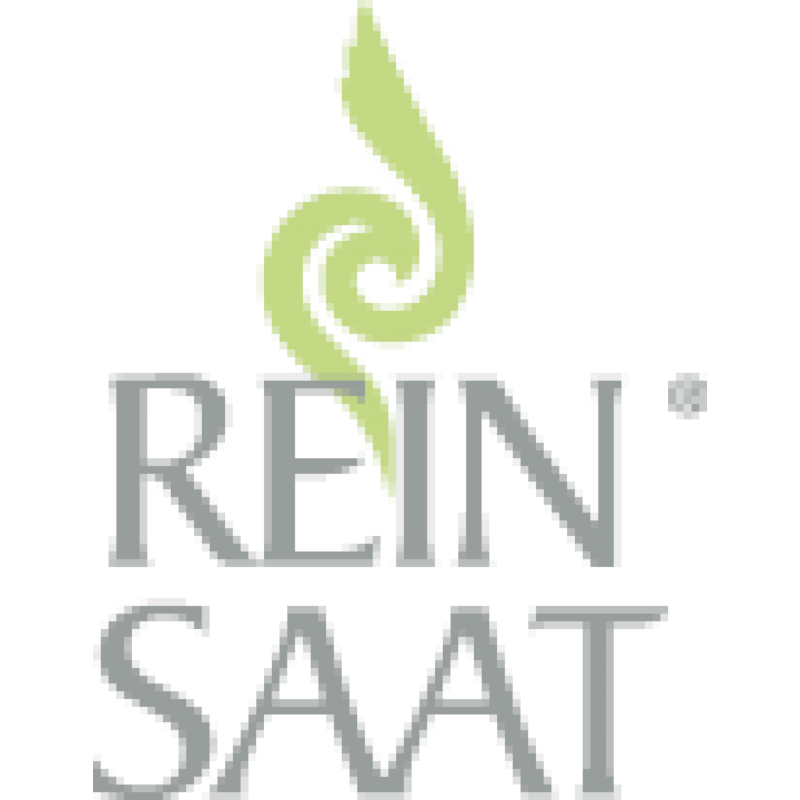 Reinsaat