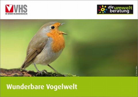 Vogel-POSTER_2012_COVER_web