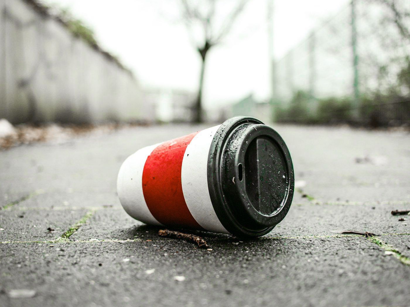 weggeworfener Coffee-to-go-Becher