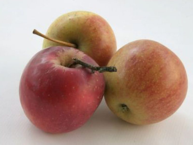 Äpfel