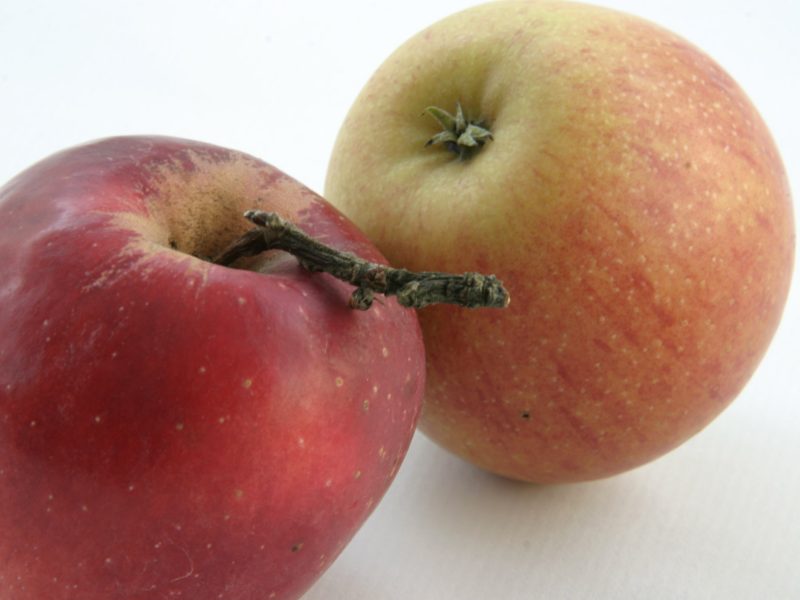 Apfel