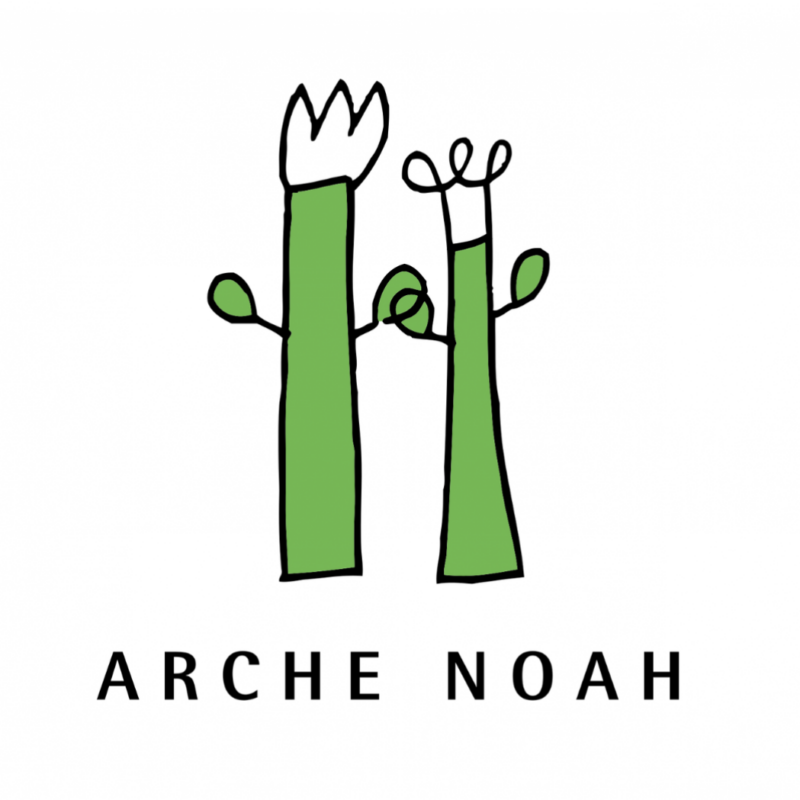 Logo der Arche Noah