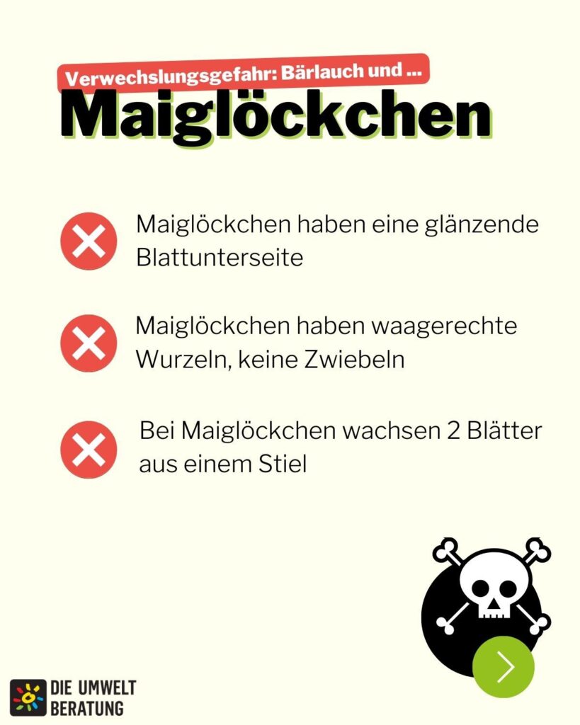 Grafik mit Info zur Verwechslungsgefahr von Bärlauch und Maiglöckchen
