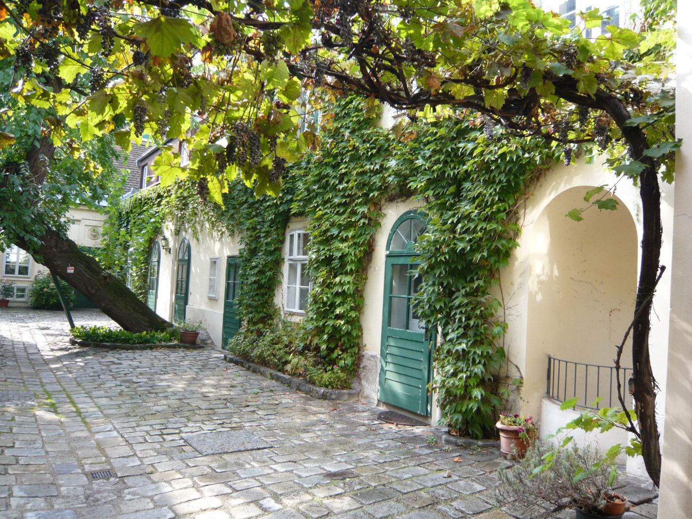 begrünter Innenhof