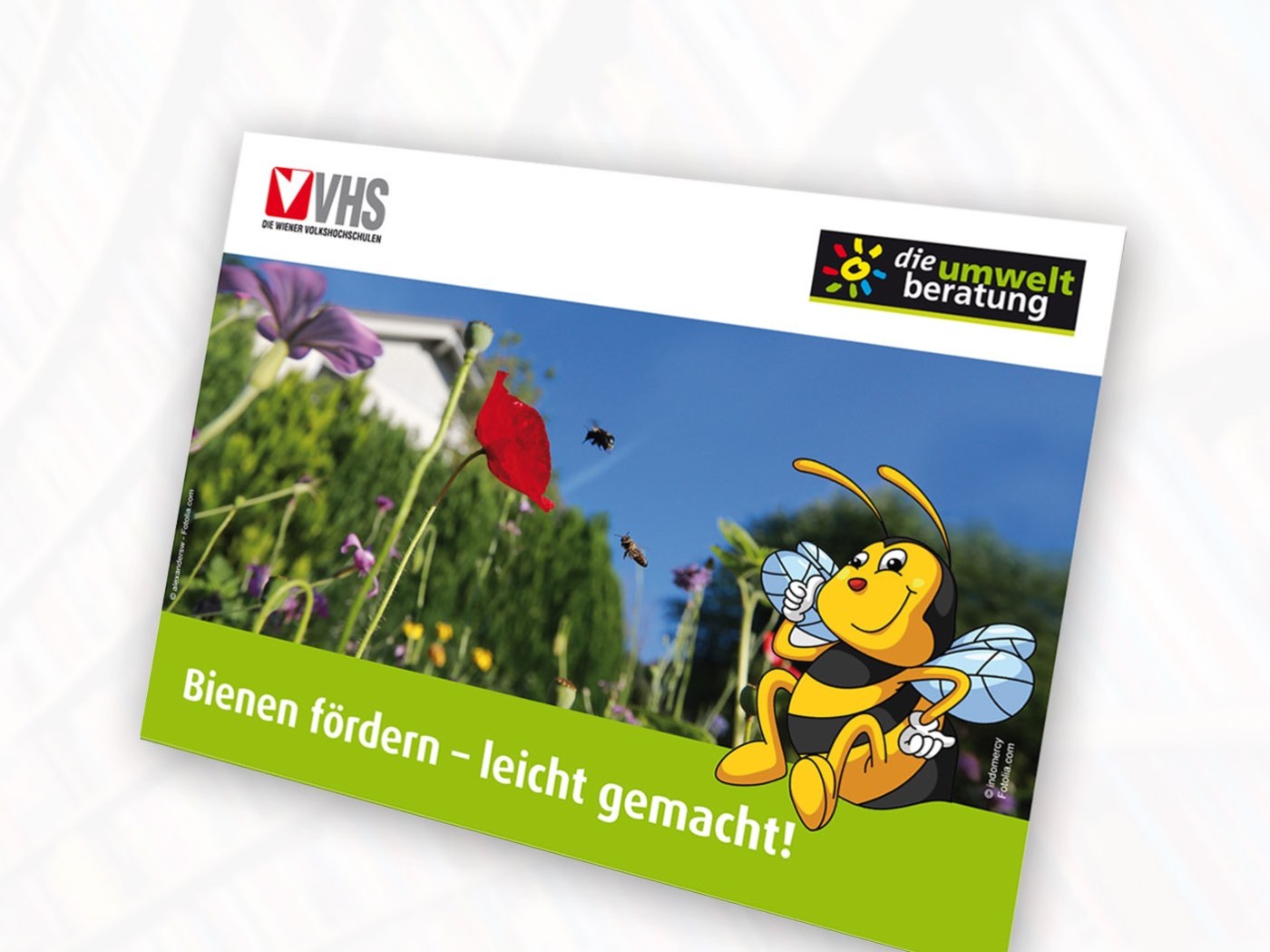 bienen-foerdern_COVER_web