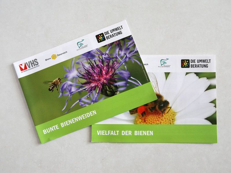 Bienen Vielfalt und Bienenweiden