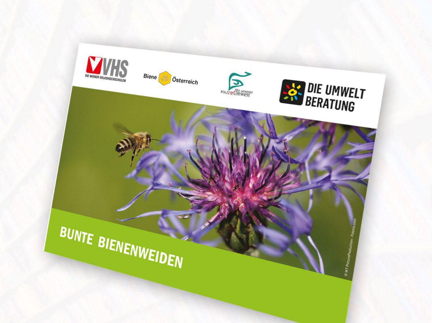 Cover Bienenweiden-Poster