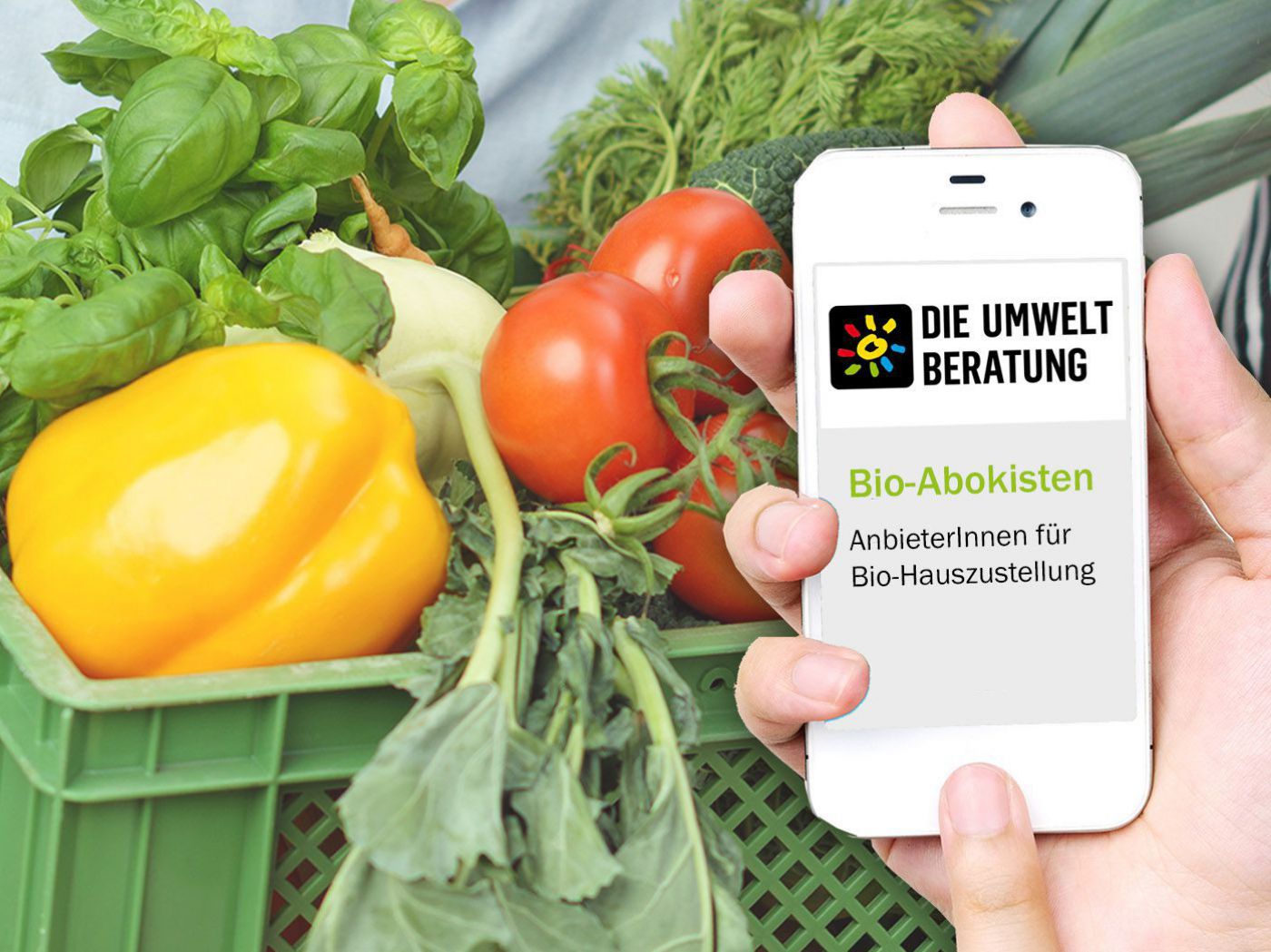 bio-abokisten_adressen
