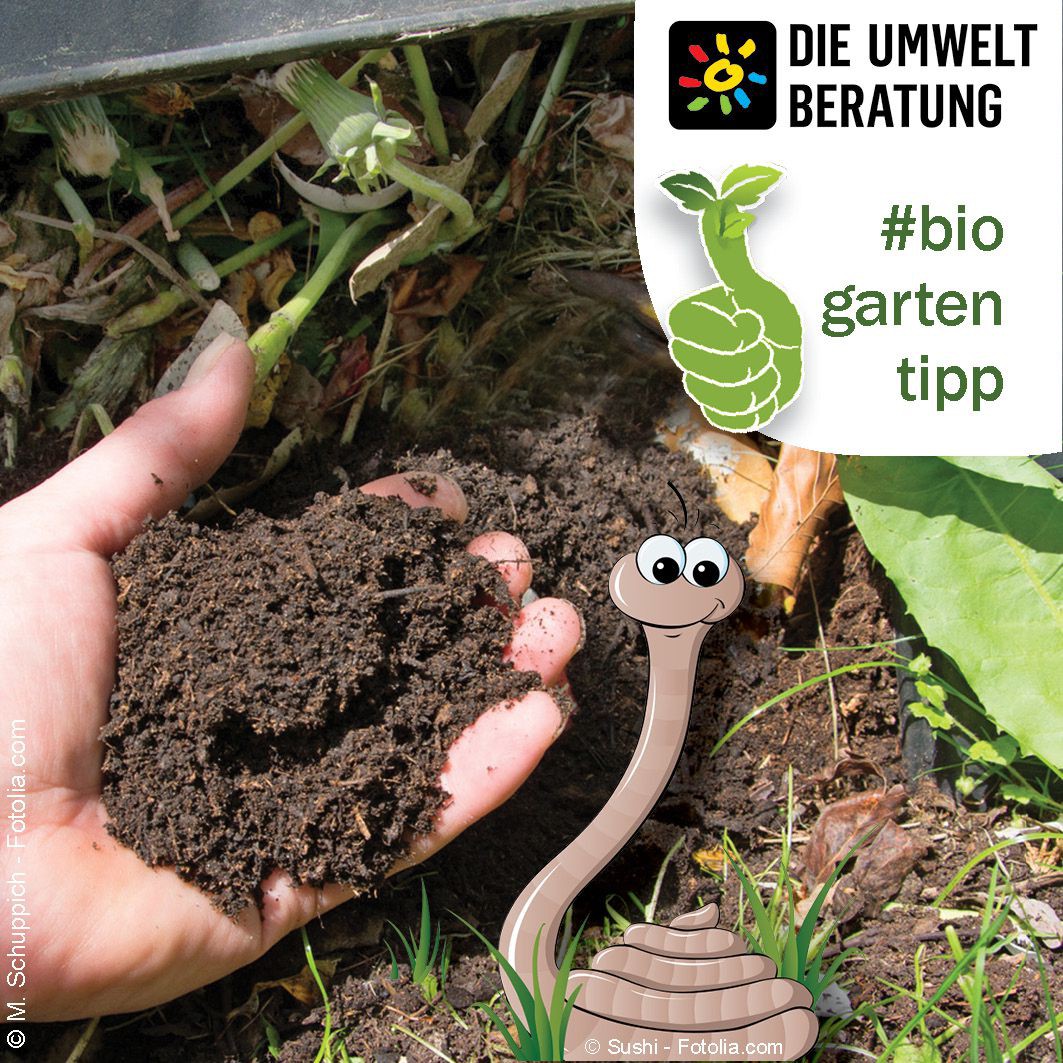 Biogartentipp Düngen