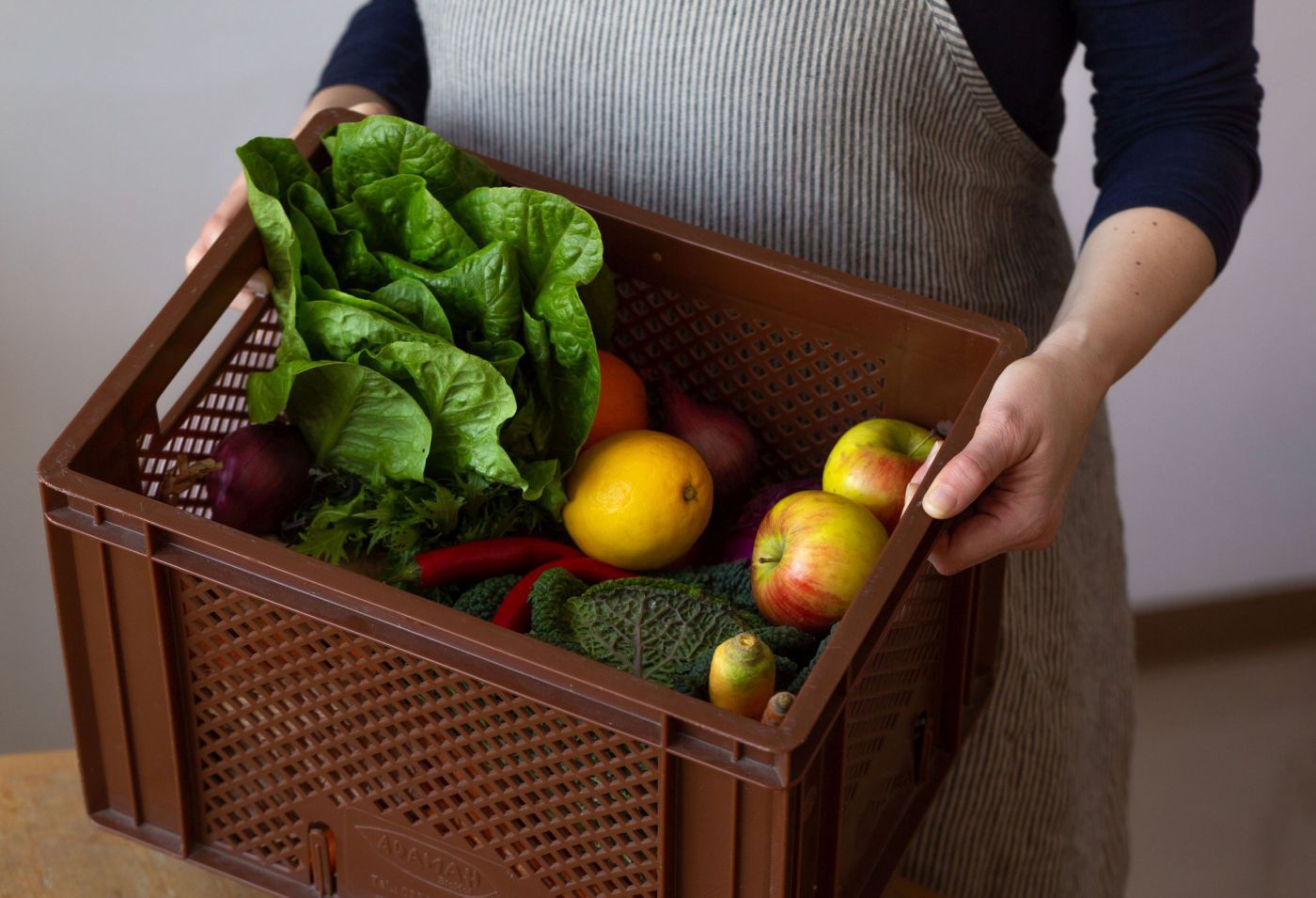 Biokistl mit Obst und Gemüse wird geliefert