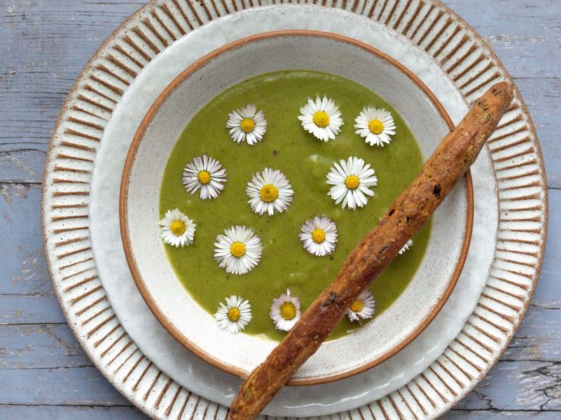 Brennnessel-Gänseblümchen-Suppe
