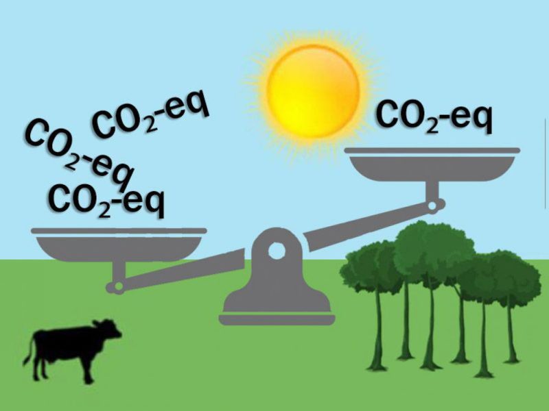 Waage mit Co2-Äquivalente