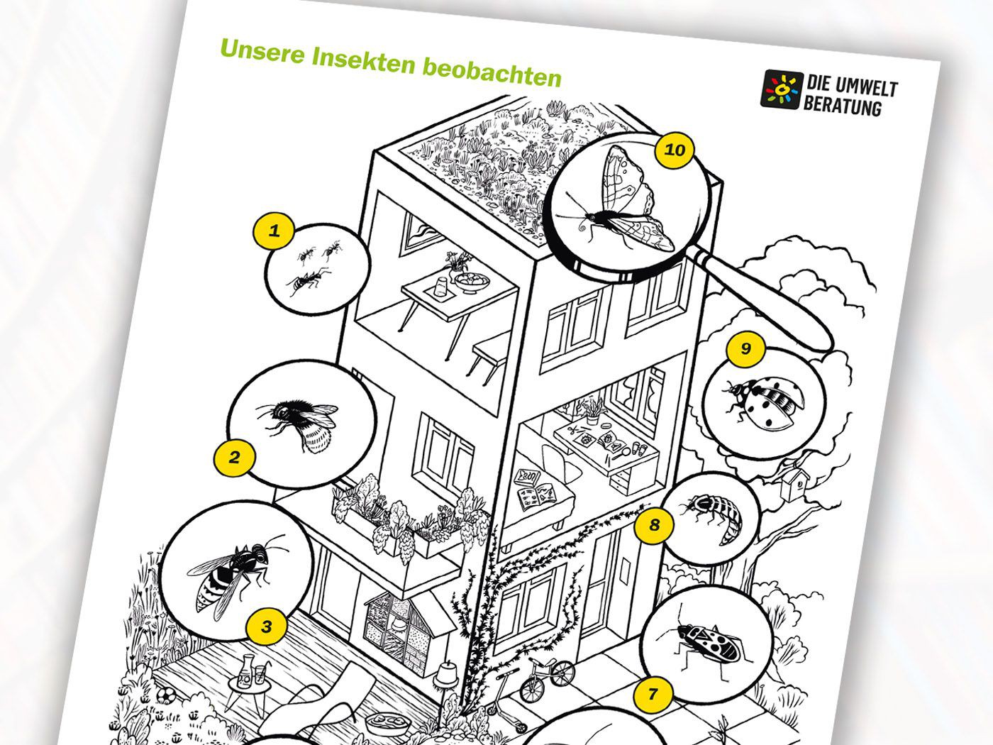 Insekten Ausmalposter 