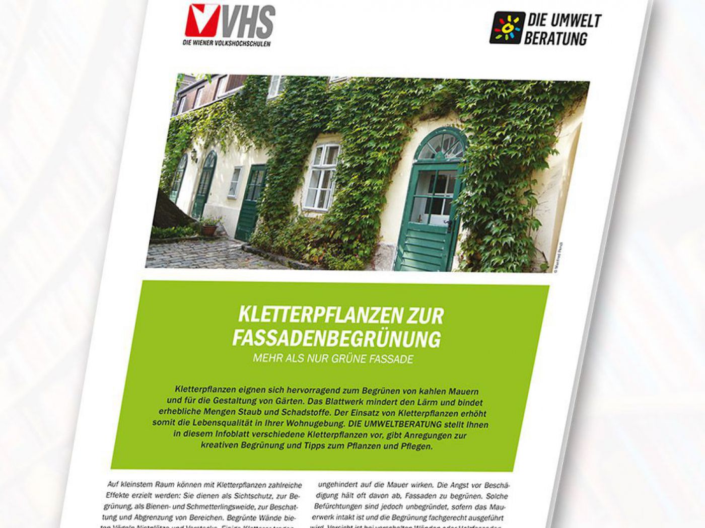 Kletterpflanzen zur
Fassadenbegrünung