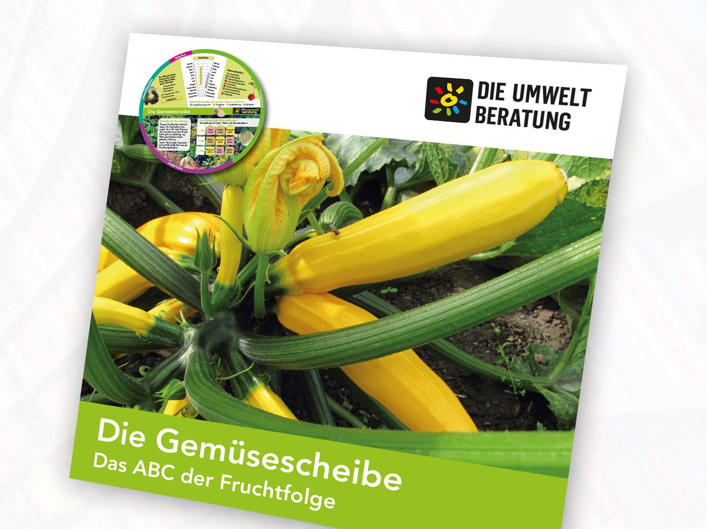 Cover Gemüsescheibe