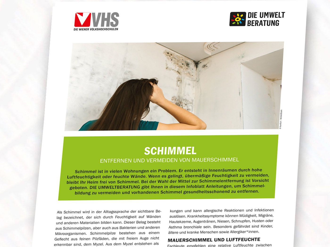 Schimmel-Infoblatt