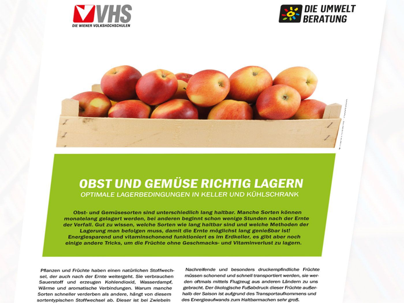 Ost und Gemüse richtig lagern