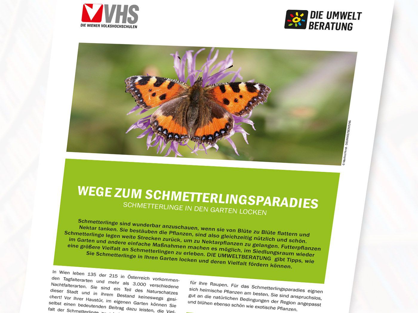 Cover des Infoblattes Wege zum Schmatterlingsparadies